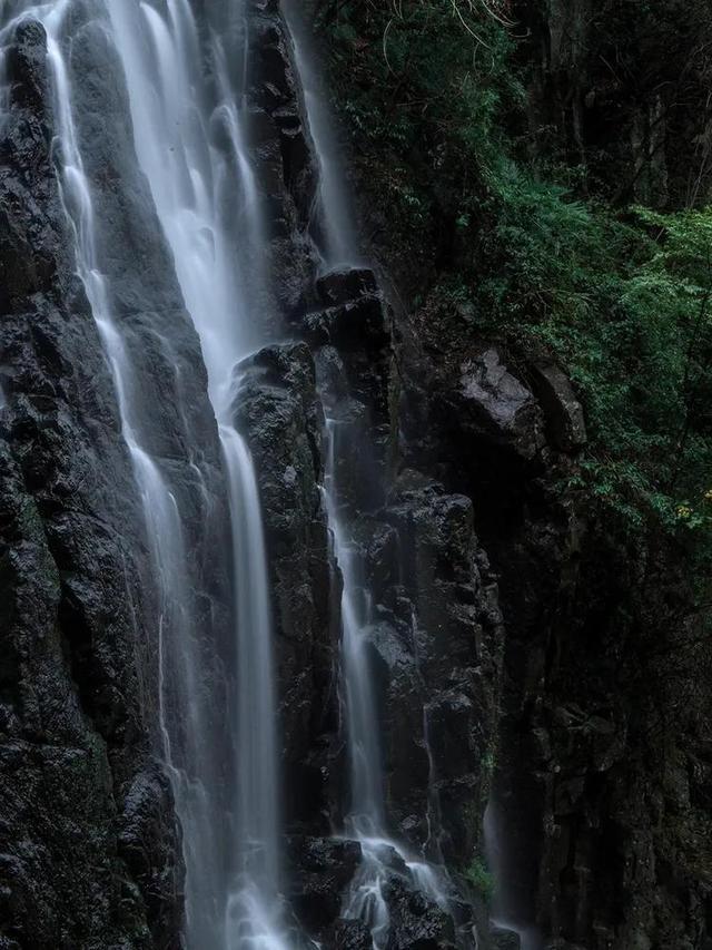 奥森弗里