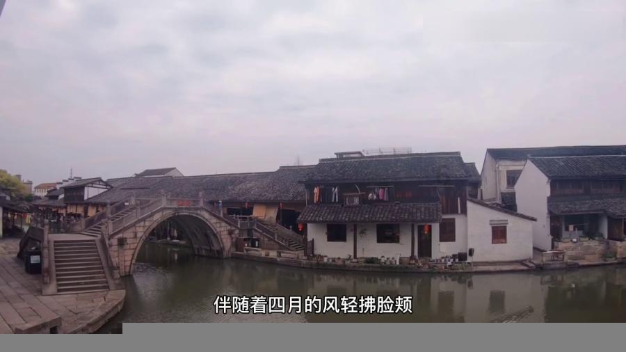 警察战僵尸无敌版