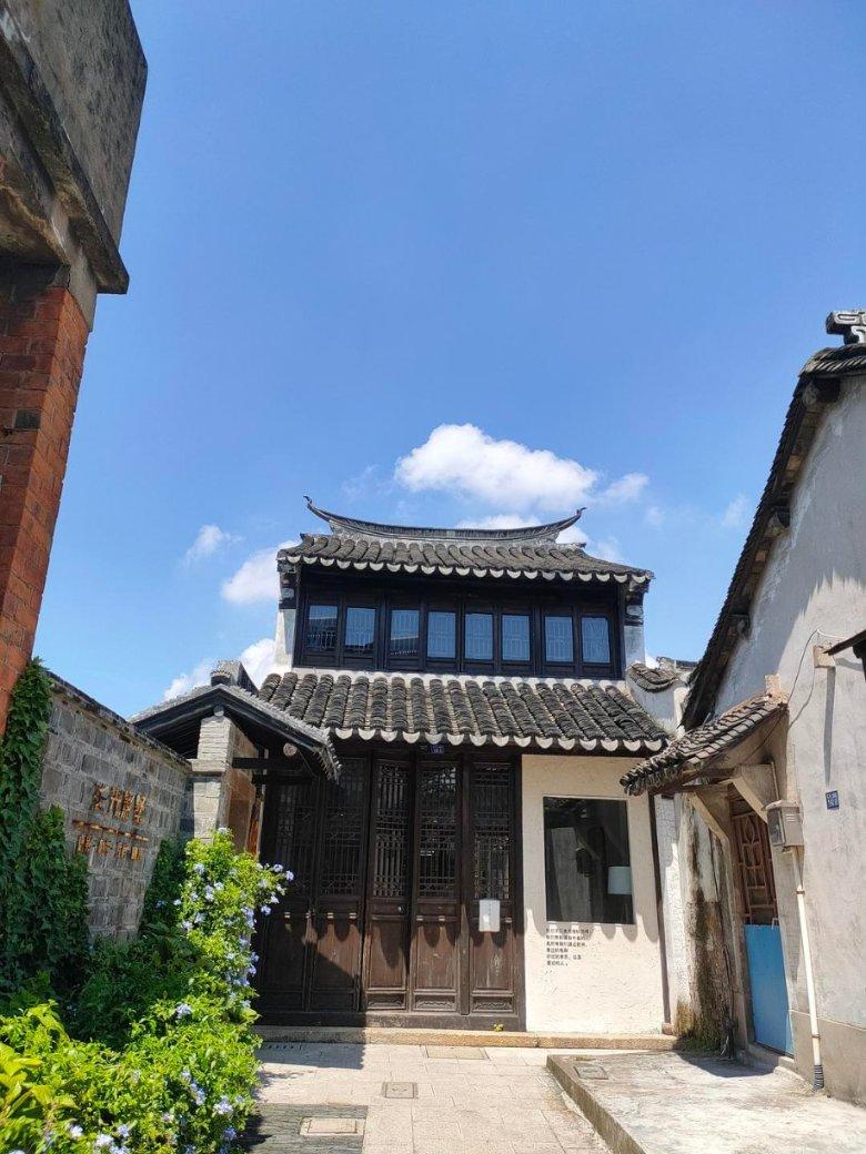 红树林逃生
